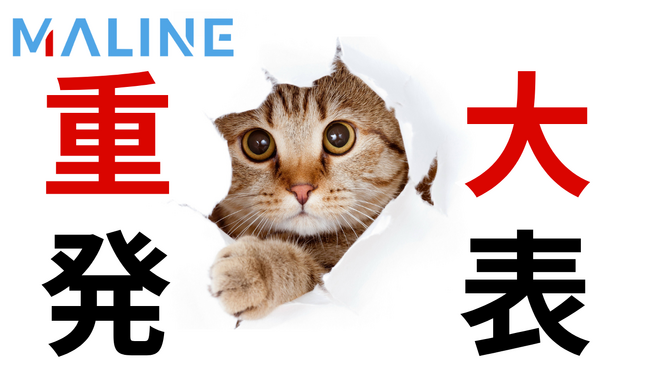 【お知らせ】総合デジタルマーケティングツール『MALINE』BtoC 向けサービス開始日変更について