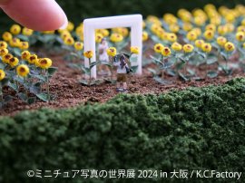 展示作品(1) 展示作品(1)