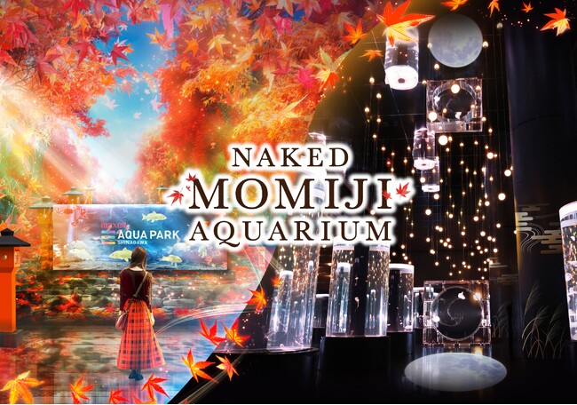 マクセル アクアパーク品川×ネイキッド初の秋限定イベント、テーマは紅葉　「NAKED MOMIJI AQUARIUM」9月13日(金)～11月17日(日)まで