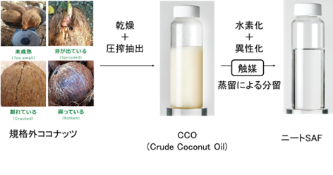 世界初、食用に適さないココナッツオイルから100％バイオマス由来SAFの製造に成功しました