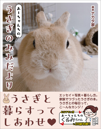 あーちゃんちに可愛いうさぎがやってきた！【鳴かない・散歩いらない・臭わない】でペット人気急上昇中!!　うさぎと暮らすって楽しくて癒やされるぅ～(ハート)　楽しく読みながら、うさぎさんのことがよ～くわかる一冊！