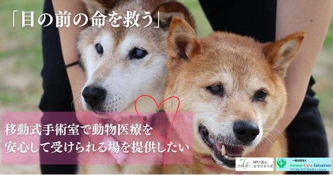 Fintertech、KASSAIを福岡の愛護団体NPO法人セブンデイズにシステム提供