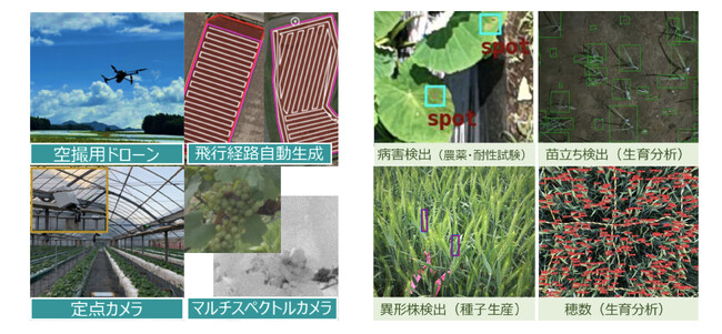 日本作物学会 第258回講演会 企業出展