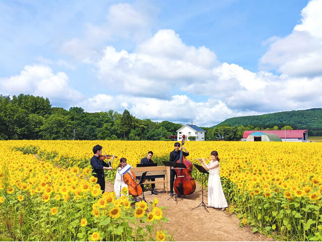 北海道ニセコ町の魅力を映像×音楽で発信！「ニセコ町グリーンシーズン観光動画コンテスト with ミニケストラ♪」を初開催