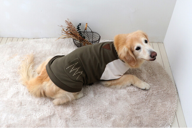 【愛犬の快適な冬をサポート！】