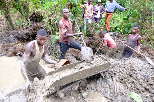不要になったスマホの回収支援でゴリラの保全を呼びかけ。上野動物園など日本でゴリラを飼育する６園のうち４園で実施。