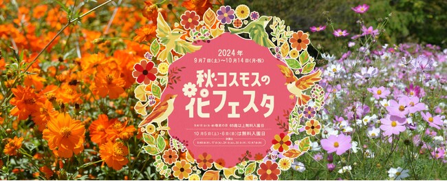 「秋・コスモスの花フェスタ」開催中！【国営アルプスあづみの公園　堀金・穂高地区】