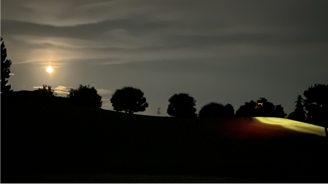 夜間に薬剤散布で効率化を実現！ゴルフ場や農場をサポートする新サービスを開始