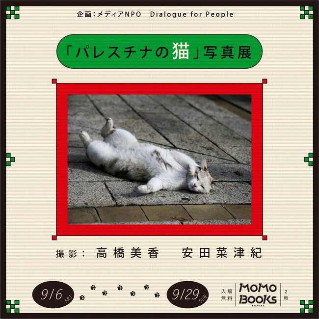 【写真展・イベント開催のお知らせ】高橋美香×安田菜津紀「パレスチナの猫」写真展が大阪MoMoBooksで開催中ー9/27にはトークイベント開催！長く占領の続くパレスチナで生きる猫たちの姿を伝えます