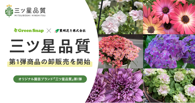 GreenSnap×豊明花き、オリジナル園芸ブランド『三ツ星品質』第1弾商品の卸販売を開始