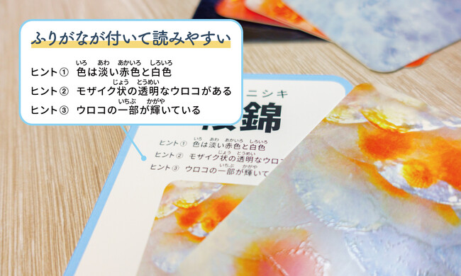 【累計支援総額7,283,341円】大好評「さかなかるた」から中学生金魚博士「かのんちゃん」監修の「金魚版」が新登場！