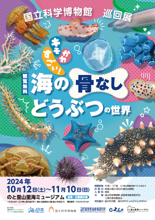 【国立科学博物館】国立科学博物館 新規巡回展「キモかわすごい!海の骨なしどうぶつの世界」初開催のお知らせ