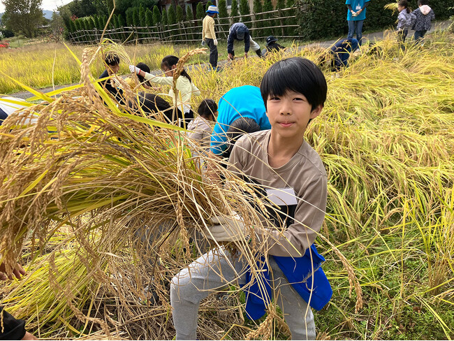 【10/6出発】 お米作り体験スクール ~稲刈り編~