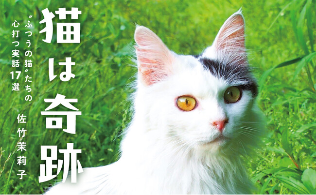 【小山慶一郎さん、村上しいこさん絶賛】涙なしには読めない猫にまつわる17の実話を収めた書籍『猫は奇跡』が9月24日発売