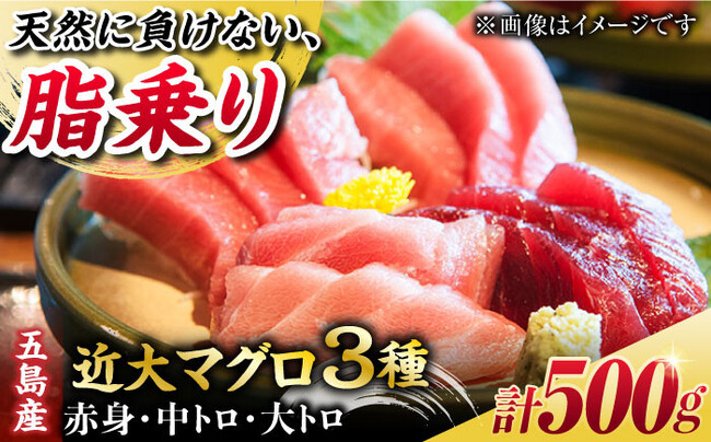 大人気の「近大マグロ」3種の部位を冷蔵で直送！【12月お届け分】の受付を長崎県五島市ふるさと納税で開始しました。