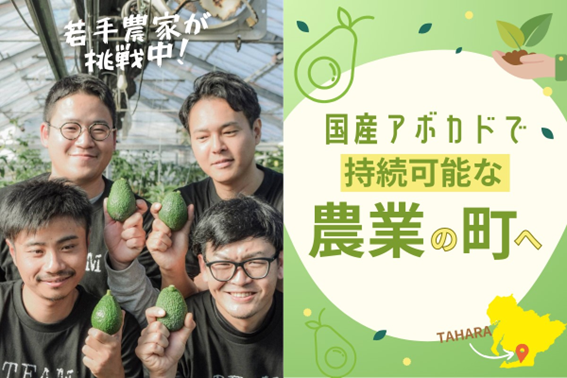 【(株)べジロジが若手農家の挑戦を応援！】農業産出額全国２位の愛知県田原市で国産アボカドの魅力発信のため、アボカドの木のオーナーシップ型クラウドファンディングを開始！