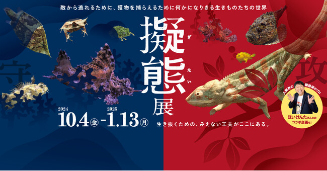 【仙台うみの杜水族館】敵から逃れるために、獲物を捕らえるために何かになりきる生きものたちの世界「擬態展」開催【２０２４年１０月４日（金）～２０２５年１月１３日（月・祝）】