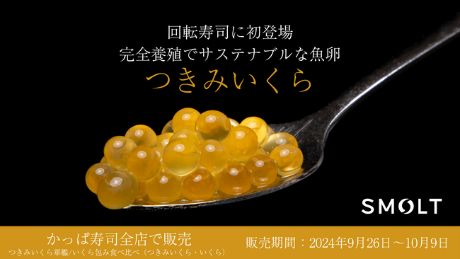 Smoltの「つきみいくら(R)」、かっぱ寿司で期間限定販売