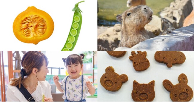 普段捨ててしまう種やさやまで「まるごと野菜」を動物のおやつや飼料に。ZENBが伊豆シャボテン動物公園とフードロス削減の取組みを開始