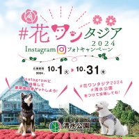 【清水公園】花ファンタジアでフォトキャンペーン開催!