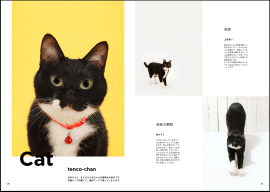 新テンプレートビジュアルブック2のデザイン1 新テンプレートビジュアルブック2のデザイン1