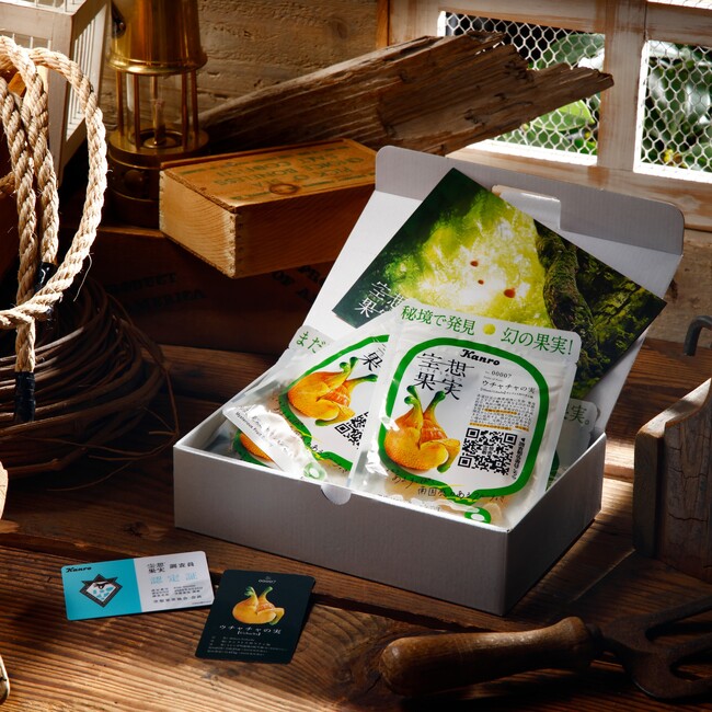 空想上の果実がグミに!?誰も知らない果実を解明する調査員として空想果実の世界へ　カンロ「空想果実ウチャチャの実 調査隊セット」オンライン限定発売