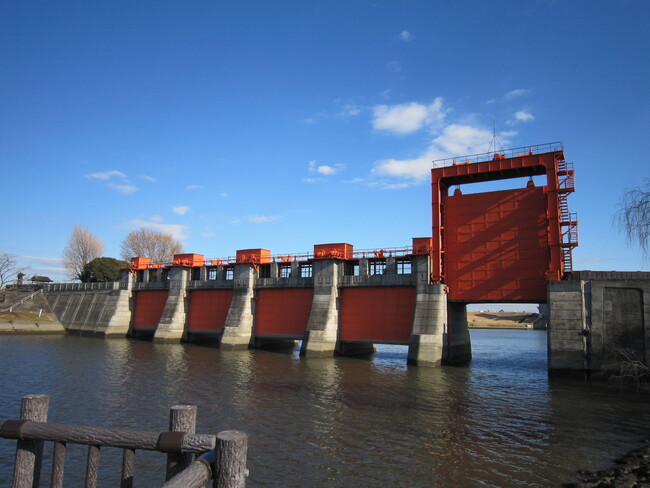 【埼玉県立川の博物館】秋期企画展　荒川放水路通水100周年記念展示「東京をまもった人工放水路と生きものたち」