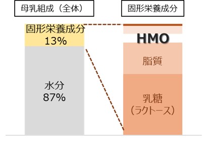 ヒトミルクオリゴ糖 2FLがインドにて食品原料として承認