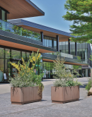 新商品ストライプ 新商品ストライプ