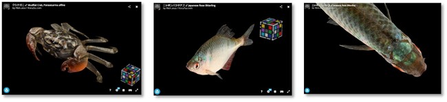 九州大学との共同開発：世界的に貴重な佐賀県東与賀の生き物の３Dデジタル図鑑を発表