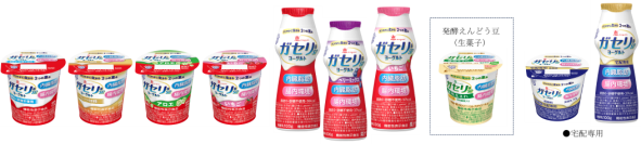 内臓脂肪・腸内環境2つの機能を持った唯一のヨーグルト「恵 megumi ガセリ菌SP株ヨーグルト」シリーズリニューアル「プレーン加糖」、「ドリンクタイプ いちご」新発売