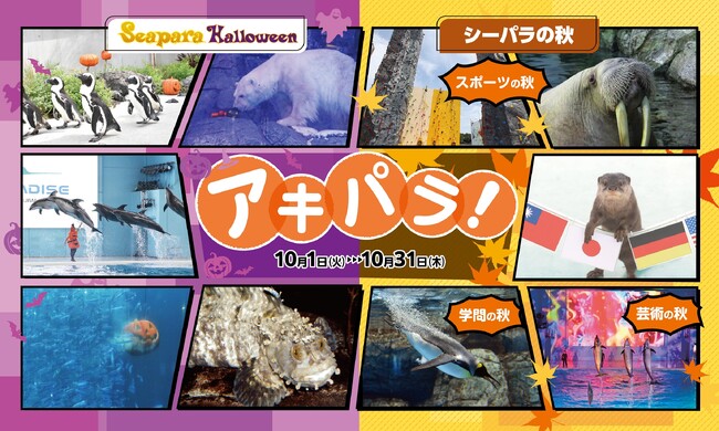 【横浜・八景島シーパラダイス】“ハロウィン”や“秋”をテーマとしたイベントが盛りだくさん！「アキパラ！ 」開催【２０２４年１０月１日（火）～３１日（木）】