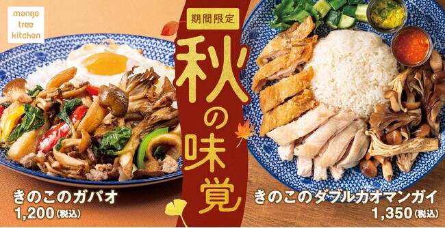 【秋もタイ料理】ガパオとカオマンガイで「きのこ」づくし！マンゴツリーキッチンに期間限定メニューが新登場
