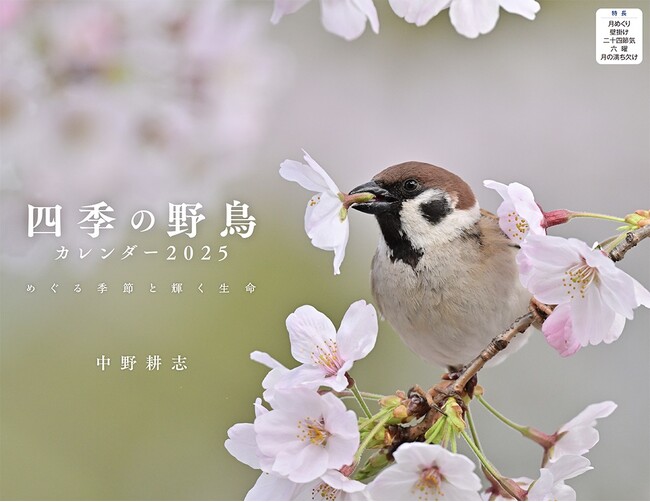 たくましく、美しい鳥たちのカレンダー『四季の野鳥』（イカロスカレンダー2025）発売