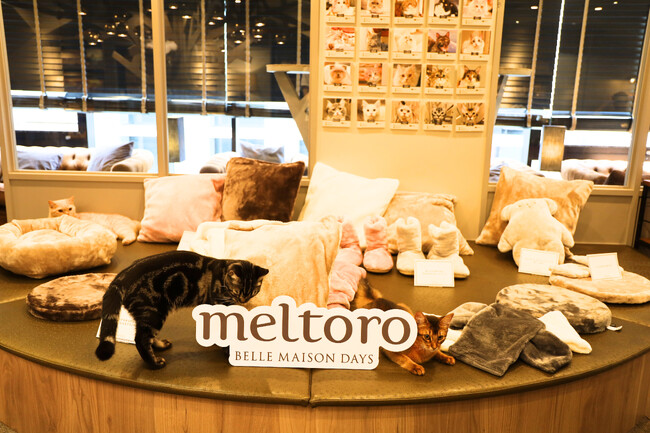 べルメゾン冬のファブリックシリーズ「メルトロ」新作発表・体験会開催レポートメルトロと猫の触り心地を比較、猫並みに「癒される」と高評価