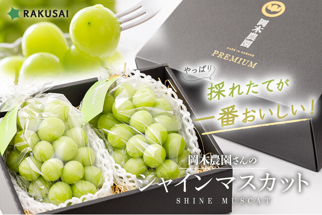 RAKUSAI　産地直送！シャインマスカット