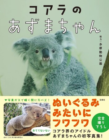 【10月25日はコアラの日】SNSで話題！ コアラのあずまちゃん初写真集10/4発売