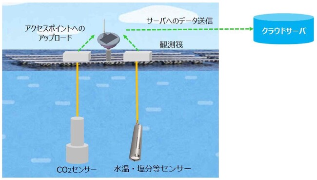 沿岸浅海域におけるCO2観測システムを構築する研究開発を開始します