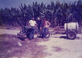 約35年前イスラエルのキブツのバナナ園で働いていた 約35年前イスラエルのキブツのバナナ園で働いていた