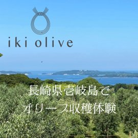 壱岐オリーブ園内から畑を望む 壱岐オリーブ園内から畑を望む