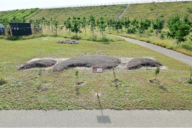 「みんなの花壇」にお花を植えます（岩手県立高田松原津波復興祈念公園）