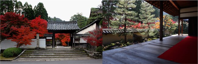 酬恩庵 一休寺 名勝庭園茶室「虎丘庵」2024年秋季特別拝観