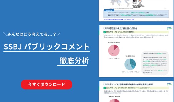 SSBJ基準はどう着地する?草案へのパブリックコメントを独自に集計、徹底分析!