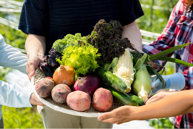 【篠山城下町ホテル NIPPONIA】丹波篠山の秋の味覚を堪能できるブライダルフェアを10月11月限定にて開催