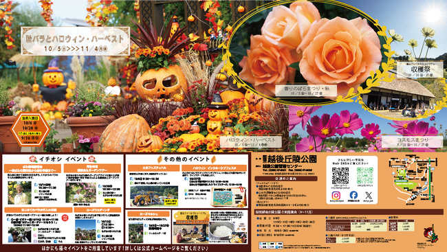 秋バラとハロウィン・ハーベスト開催（国営越後丘陵公園）