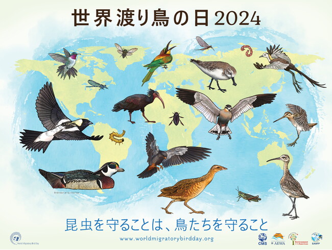 10月12日は「世界渡り鳥の日」World Migratory Bird Day