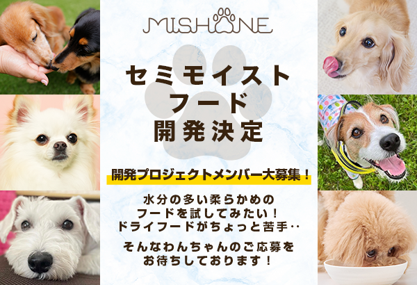 開発協力モニター犬を募集！プレミアムドッグフードを取り扱うミシュワンが【セミモイストフード】の開発を始動！