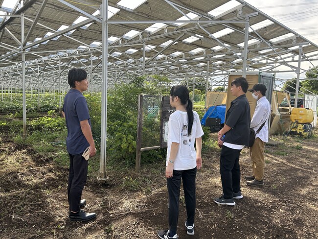 千葉大発ベンチャーの千葉エコ・エネルギーが実施した「営農型太陽光発電インターンシッププログラム」が成功裏に終了