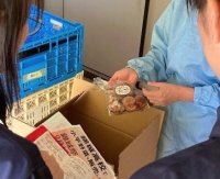 錦城高等学校の有志生徒が「小平を活性化させるには？」をテーマとした探究を展開 ― 錦城祭では小平野菜に加えて4種類の「錦茶」を販売