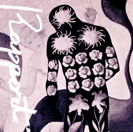 DOD-048 高橋佑成『ラポール』Jacket DOD-048 高橋佑成『ラポール』Jacket